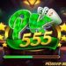 PK555 Game